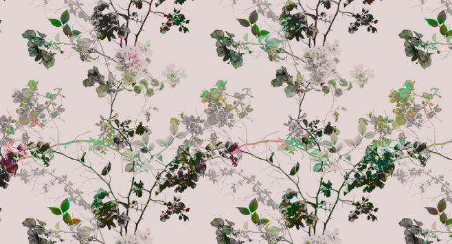 branches II, love blossom, IPHEPHA - Das perfekte Wandkleid, Tapeten Online-Shop